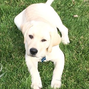 Meet your Posher, Matt